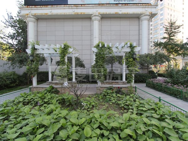 诚意可聊 海润国际公寓 798 将台路 随时看房,朝阳租房-北京58安居客