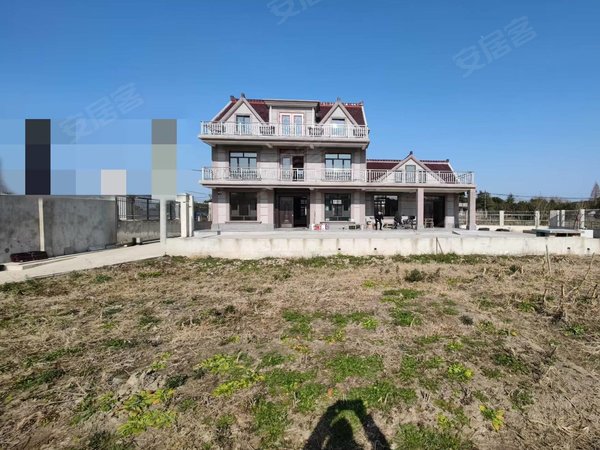 上海闵行浦江浦江镇正义村自建房浦江汇臻路旁精装独栋别墅出租出租