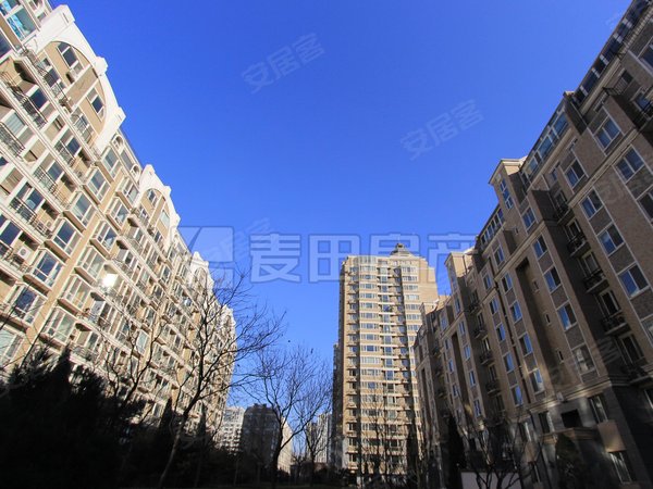 【多图】金港国际,大望路租房,1室1厅 金港国际,朝阳租房-北京58安居