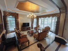 乌鲁木齐水磨沟温泉路水磨沟公园旁   独栋别墅带500平花园  停车便利 随时看出租房源真实图片