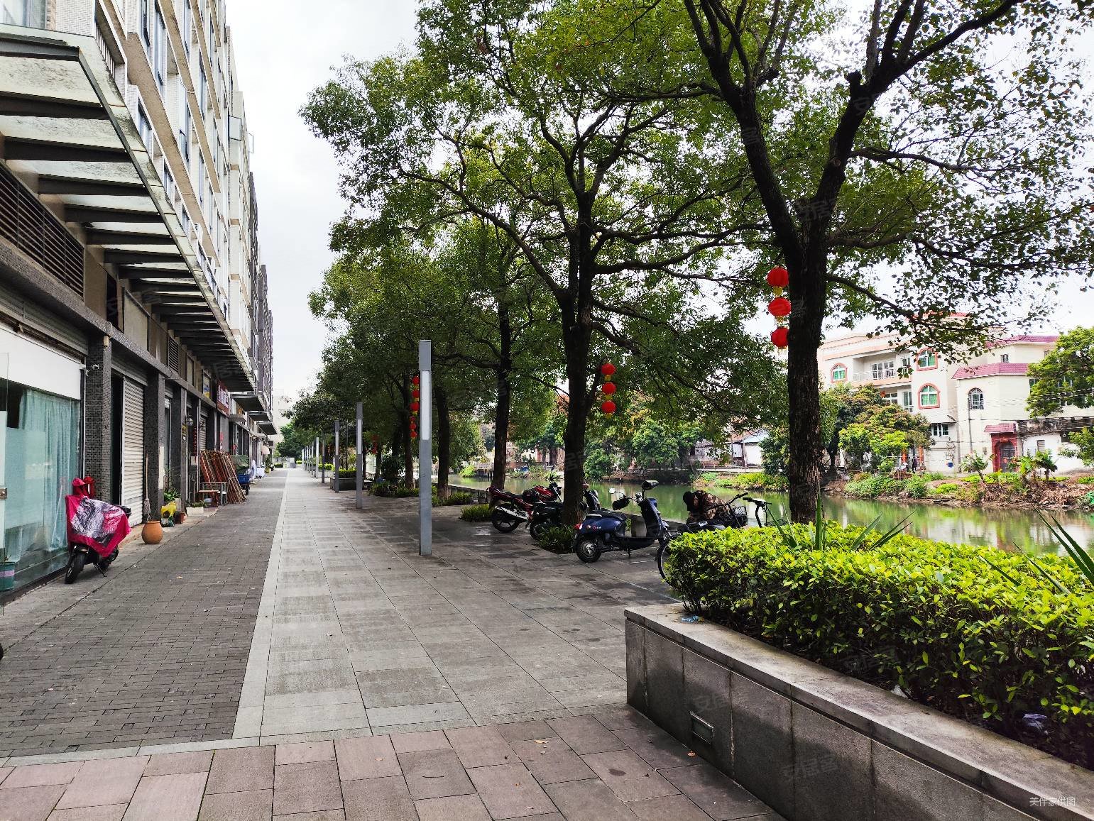 东逸湾倚湖居电梯中层南向精装修三房两卫