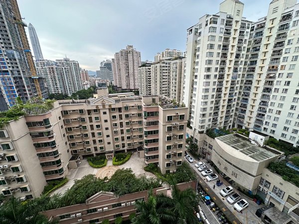 深圳福田皇岗金港豪庭福田口岸金港豪庭小区一房一厅出租房源真实图片