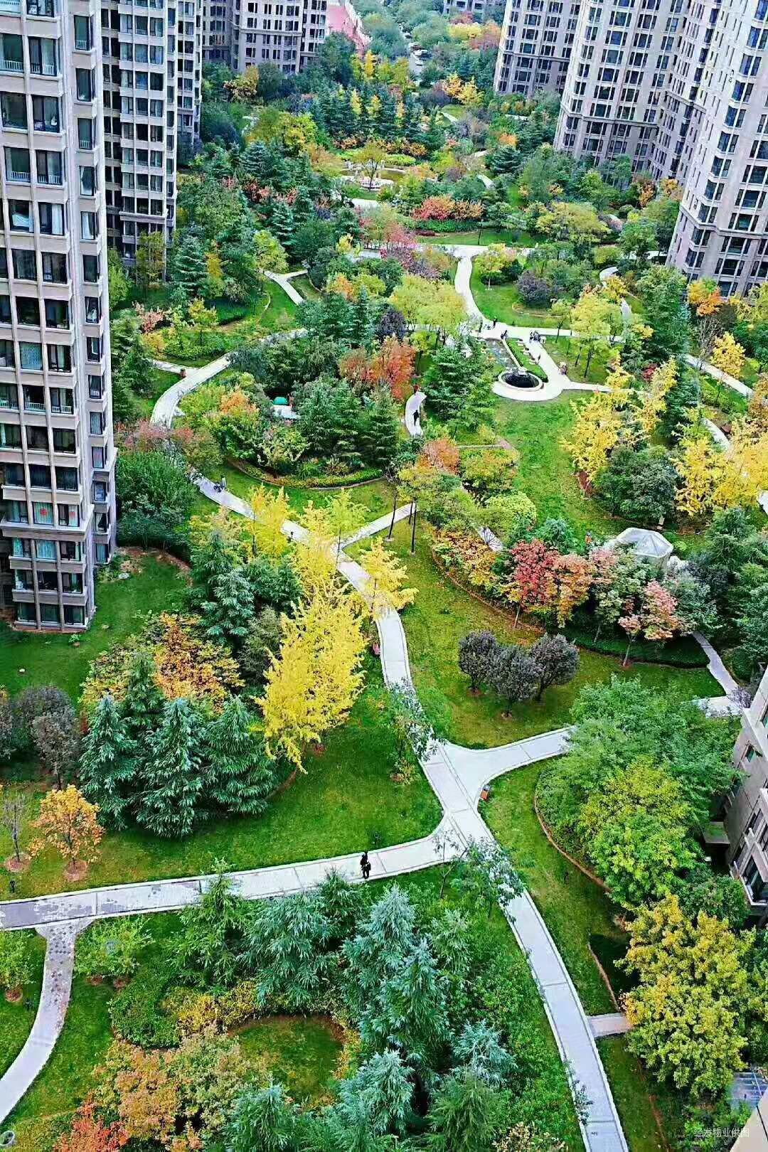 白桦林间凤城九路地铁口品质小区管家服务