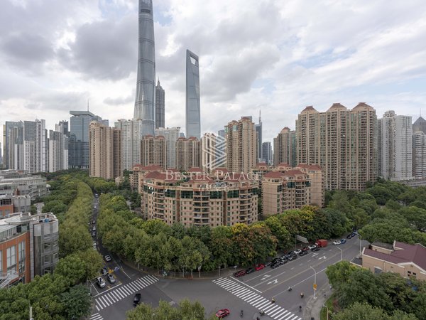 【多图】财富海景花园,陆家嘴租房,财富海景前排,江景绝了,带车位,保