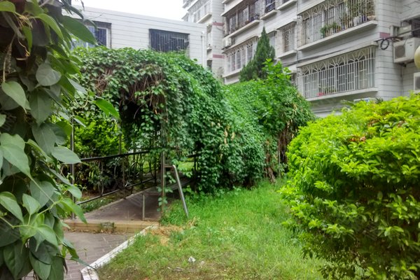 金宝花园,钟法路39号-漳州金宝花园二手房,租房-漳州安居客