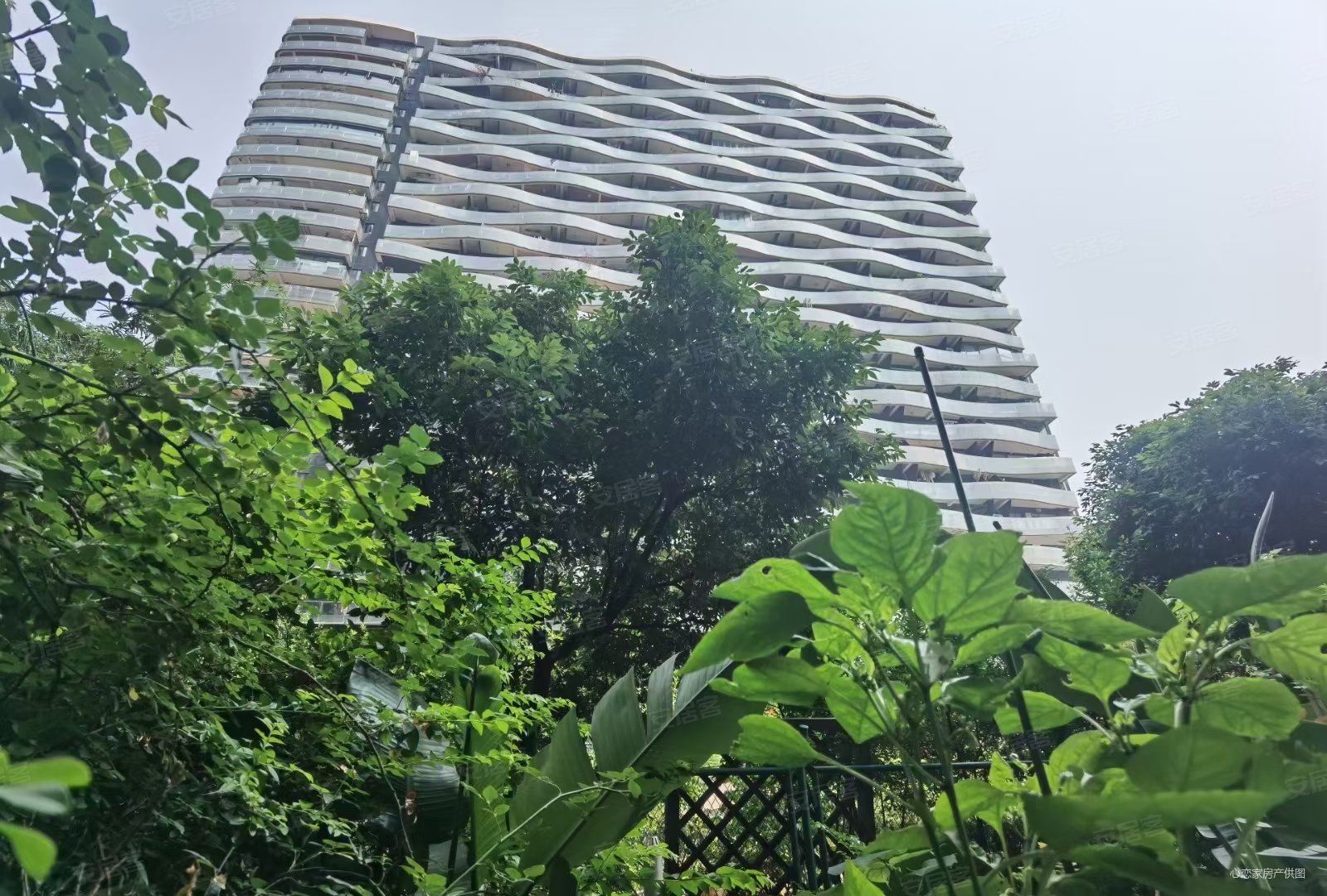 桐梓林首座套二双卫带地暖南北通透中间楼层大阳台