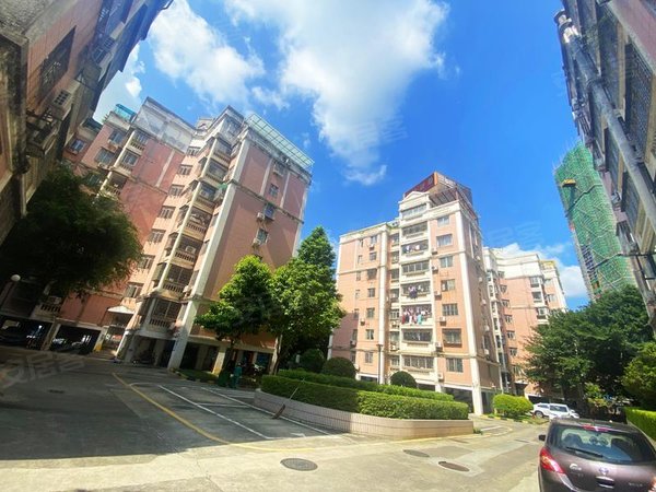 深圳南山华侨城世界花园樱花居世界花园 3室整租,户型方正,随时看房