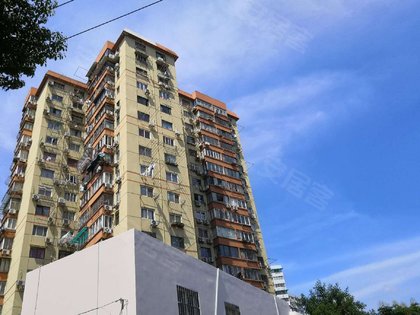 不足,田林十四村怎么样,田林十四村周边房产中介经纪人评价-上海安居