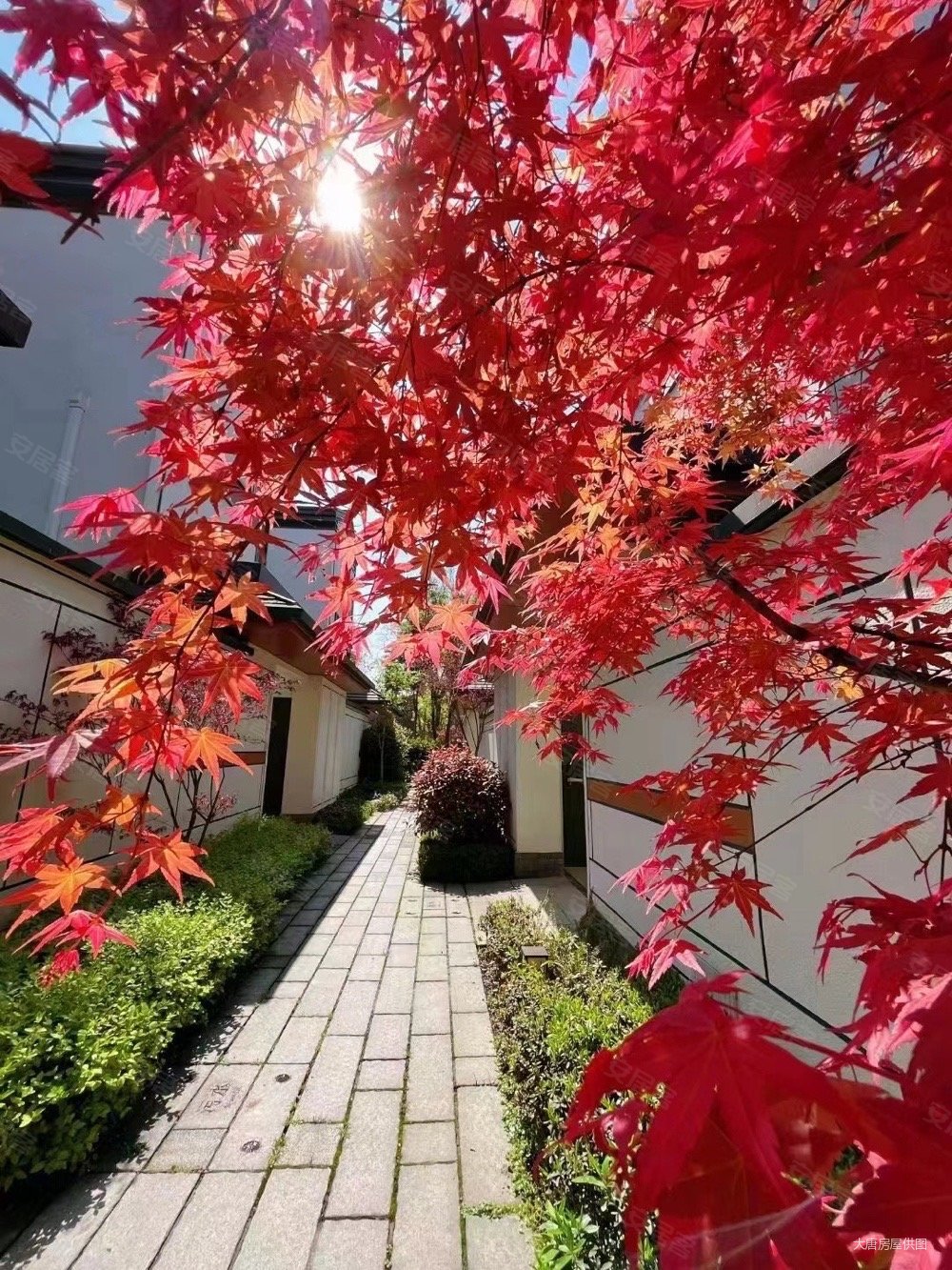 龙湖小院青城2室2厅1卫63.44㎡南北80万