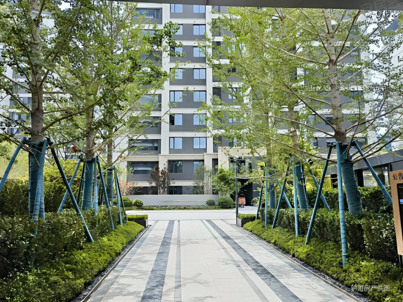 铁一  中粮奥体壹号 精装三房双卫  南北通透 小高层