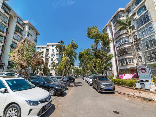 深圳罗湖水库东乐花园(罗湖)实拍东乐花园清爽装修3房有匙即看出租