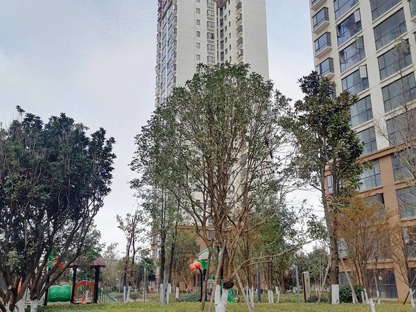 昆明呈贡刘家营锦绣家园锦绣家园 2室2厅1卫 南北通透 电梯房 精装修