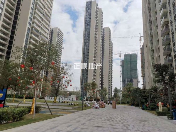 【多图】锦绣海湾城(九期),中山租房,珠海北湾城(九期) 3室2厅2卫 精