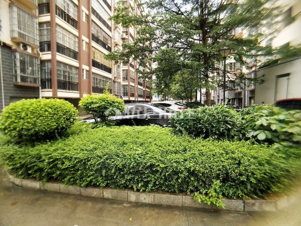 南宁武鸣武鸣城区新城花园标营市场对面 新城花园小区 三房拎包入住