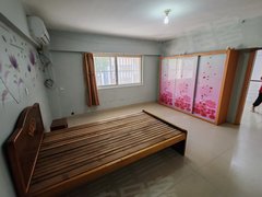 建湖建湖开发区万彩国际购物中心逸湖新村 二楼一室一厅 480一个月出租房源真实图片