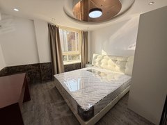 合肥政务奥体中心可短租可月付！整租一室！中辰国际大厦对面，万象城，体育中心旁出租房源真实图片