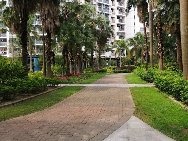 深圳龙岗宝龙蓝钻风景宝龙蓝钻精装一房一厅,部分家私出租出租房源