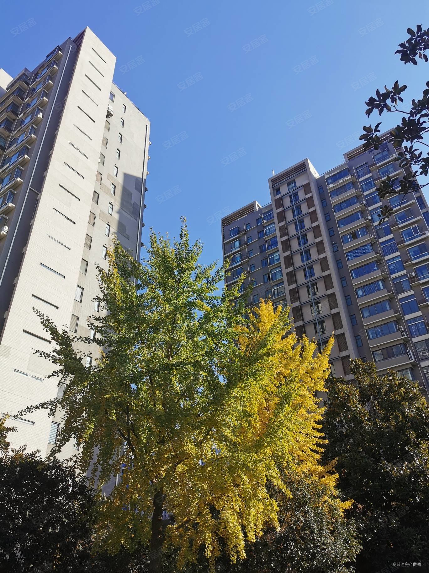 二环内地铁旁满五 正商蓝钻小区 业主挥泪急售