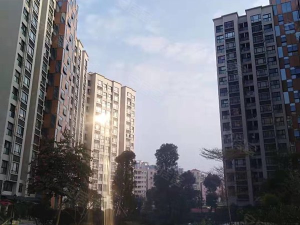 广州番禺番禺节能科技园领秀公馆领秀公馆,天安科技园看房方便拎包