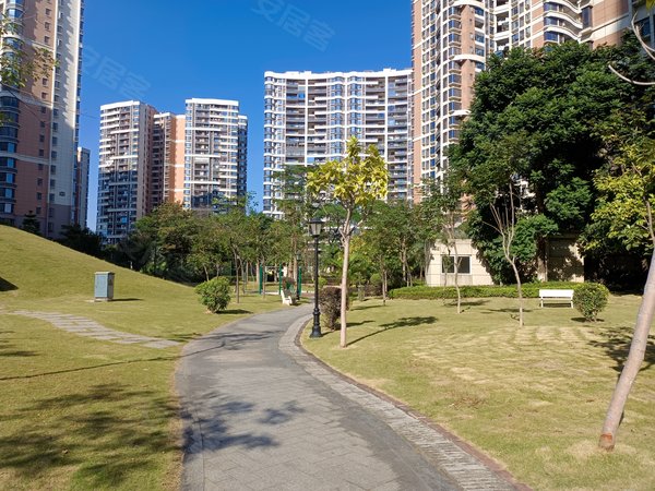 东莞道滘道滘城区君汇半岛君汇半岛  业主急租 房源采光好,南北通透