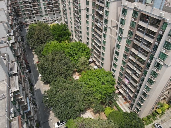 深圳宝安沙井鹏程花园精装三房两厅两卫,后亭地铁口,光线非常好,家电