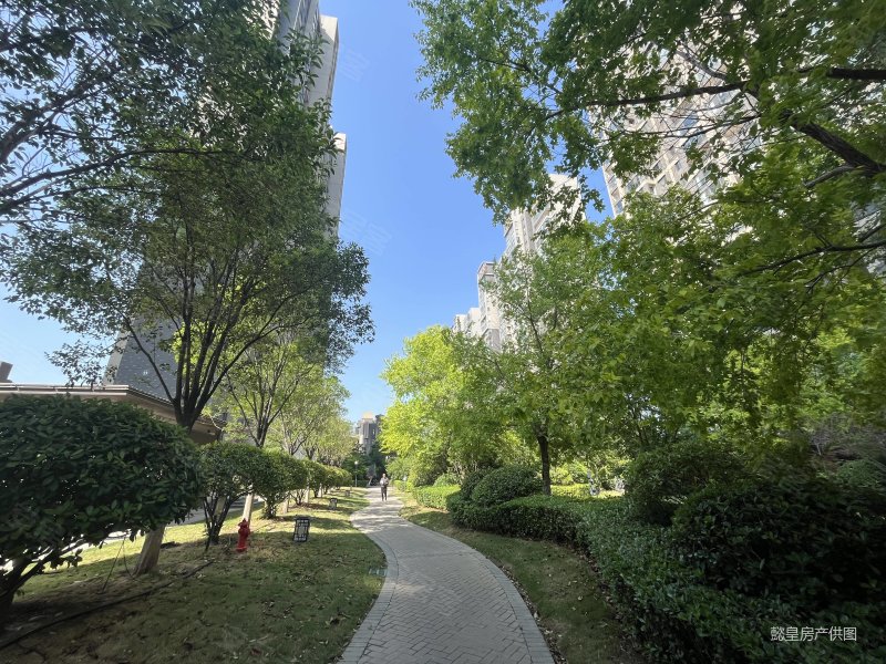 洛阳房产网>洛阳二手房>洛龙二手房>洛龙周边二手房>建业桂园>800_600