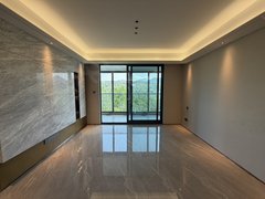 丽水莲都怡景/银苑银泰空房，可或居住，家电齐全，拎包入住出租房源真实图片