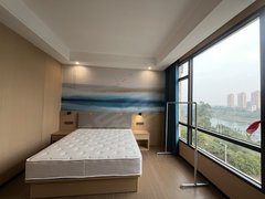 来宾兴宾兴宾城区江滨湾1号旁 800块豪华酒店式公寓 电梯9层高 可短租出租房源真实图片