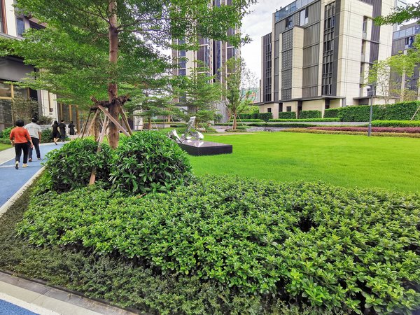 深圳南山大学城远洋天著华府大学城地铁口益田假日里旁 远洋天著横厅