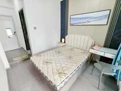 南京鼓楼热河南路实拍 独卫南阳台 热河南路大观天地方家营上元门阅江楼出租房源真实图片