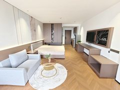 武汉洪山白沙洲洪山现代轻奢一室一厅 融创智谷 大花岭 创意天地 东湖学院出租房源真实图片