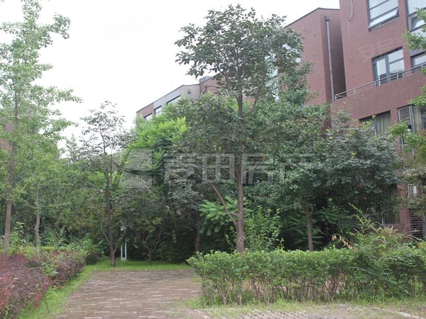 【多图】领秀新硅谷ab区,西二旗租房,领秀新硅 2室2厅2卫 精装126平