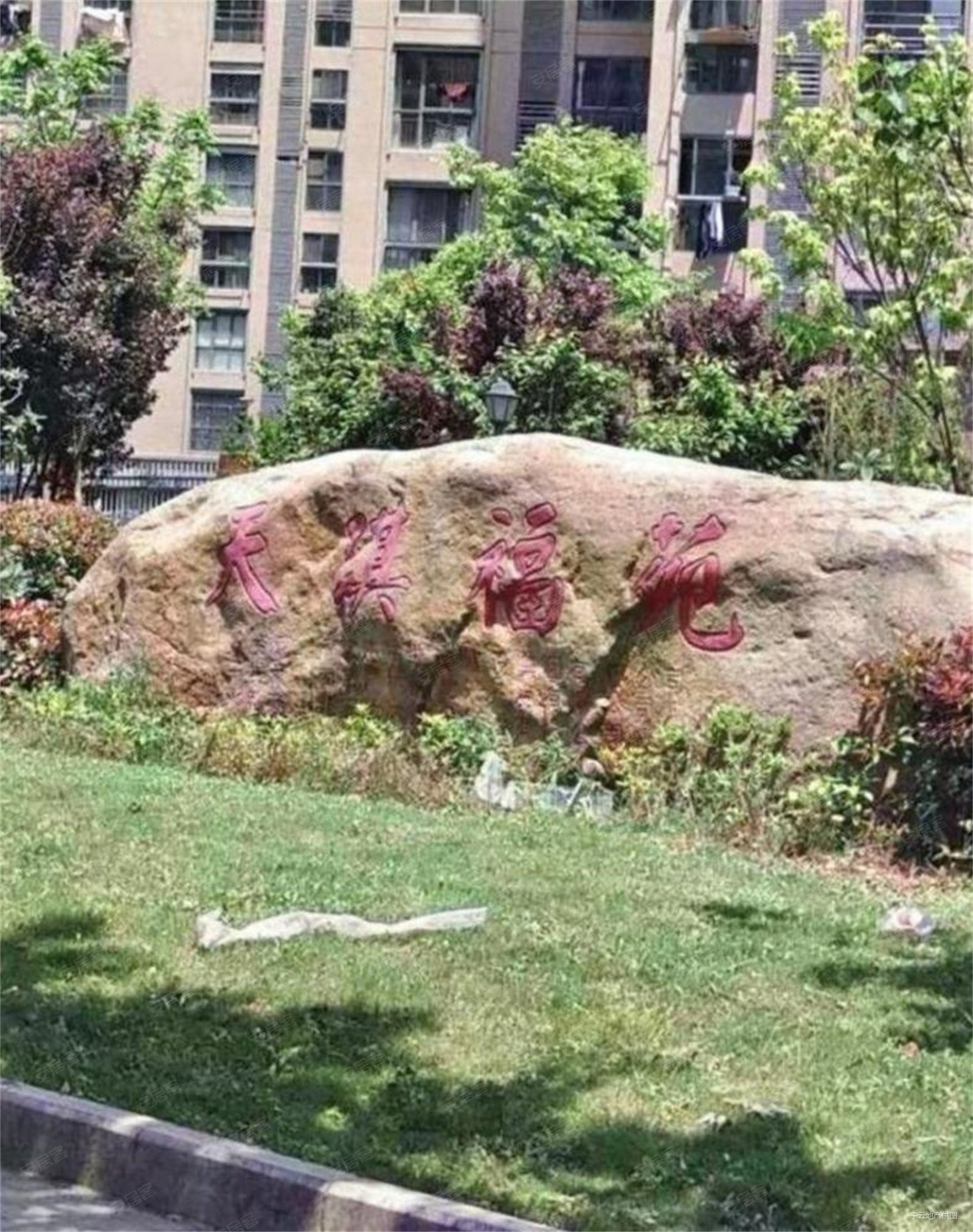 竹山路5号线地铁口 竹小竹中大两房采光炸裂东城福园 天琪福苑