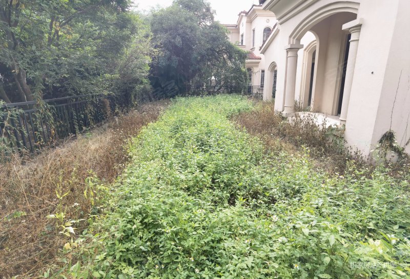 东莞南站旁,绿茵温莎堡独栋别墅,花园300平坐北朝南,诚心卖