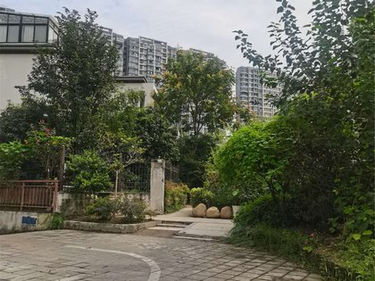 香树湾云景优点,不足,香树湾云景怎么样,香树湾云景周边房产中介经纪