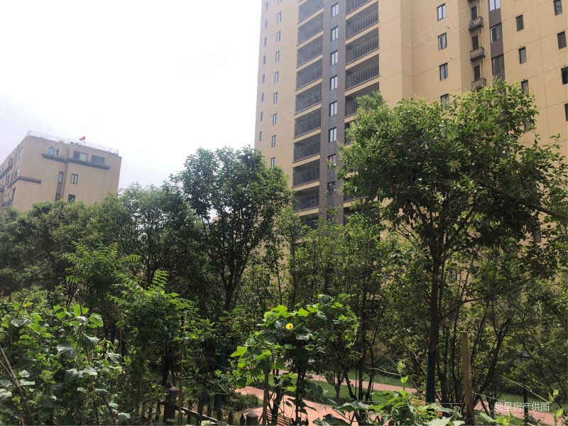 新上一楼带院子路劲御城二期 三室两卫满两年 送70平方大花园