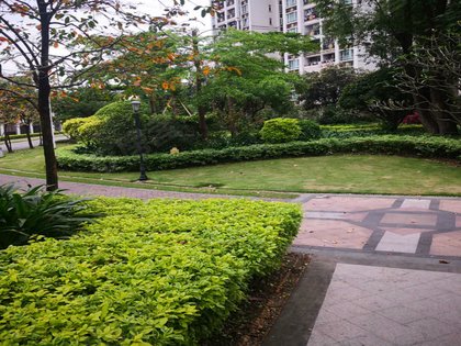 【敏捷金月湾房价走势,敏捷金月湾房屋出租,敏捷金月湾二手房出售】