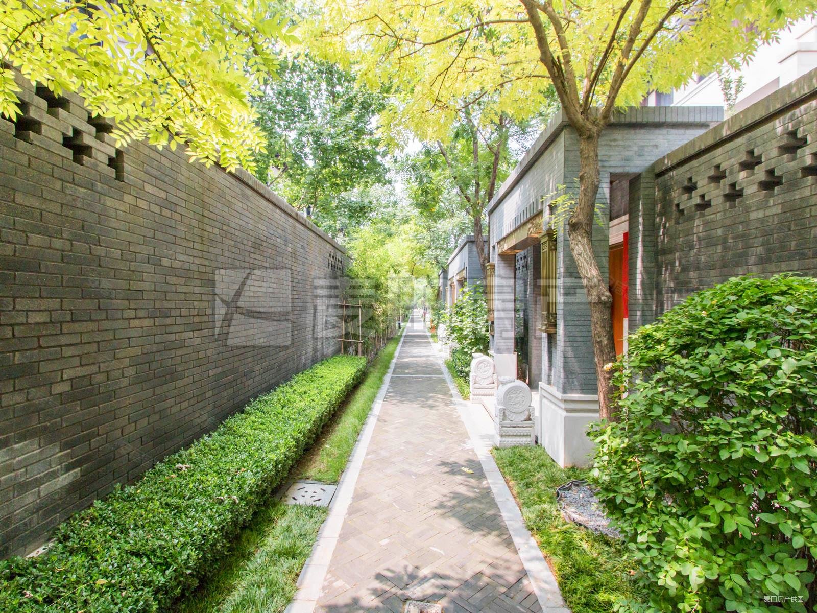北京泰和院子图片