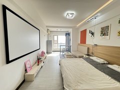 哈尔滨南岗哈西哈西精装ins风一室 可给民宿 家电齐全 拎包入住出租房源真实图片