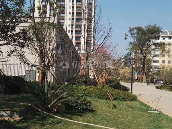 昆明西山前卫营润城(7区)润城七区精装两房全套家家电带车位出租出租