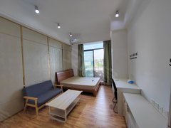 东莞黄江天虹风度盛荟(商住楼) 1室0厅1卫  电梯房 精装修31平米出租房源真实图片