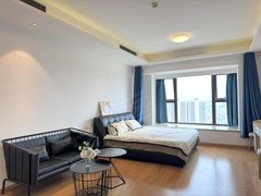 邵阳大祥金三角步行街无中介F 城南公园 城南帝景1室1厅1卫 配套齐全可拎包入住出租房源真实图片