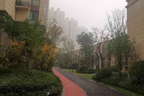 绿都澜湾樟园优点,不足,郑州绿都澜湾樟园怎么样,绿都澜湾樟园周边