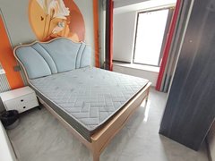 嘉兴平湖平湖市区紫宸华府 1室1厅1卫 近服装城 时尚中心出租房源真实图片
