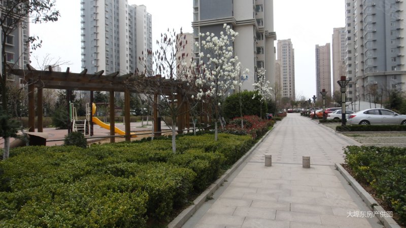 金地悦峰东盛花园豪装套三急售 满五 来好房啦随时看房随时过户