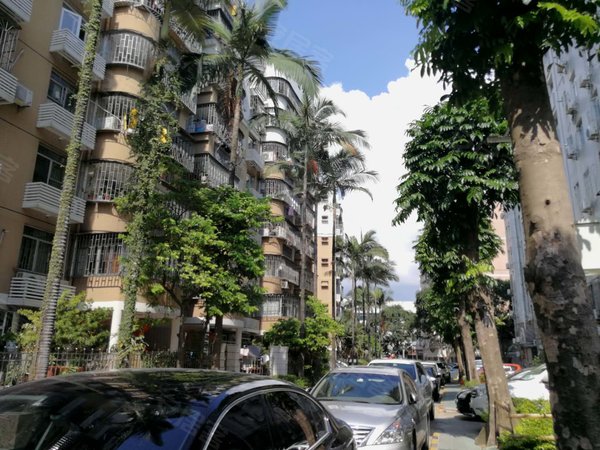 【多图】福莲花园,莲花村租房,莲花村,难道好装修三房,客厅出阳台