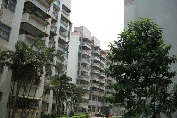 嘉乐花园怎么样,好不好_中介房产经纪人:陈鹏对嘉乐花园的评价-佛山