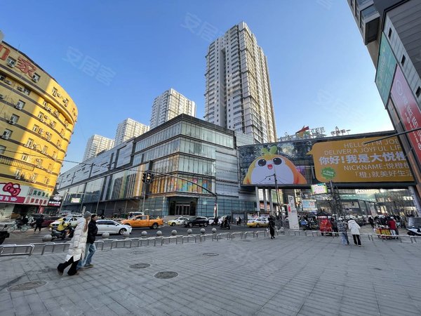 中街吾悦楼上两室一厅 下楼步行街新玛特大悦城拎包住,大东租房-沈阳