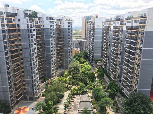 南宁青秀凤岭北凤岭名园凤岭名园弥珍道精装一房,急租可议价可月付