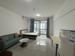 东莞塘厦新开发区塘厦科苑路26号小区 1室1厅1卫  电梯房 精装修38平米出租房源真实图片